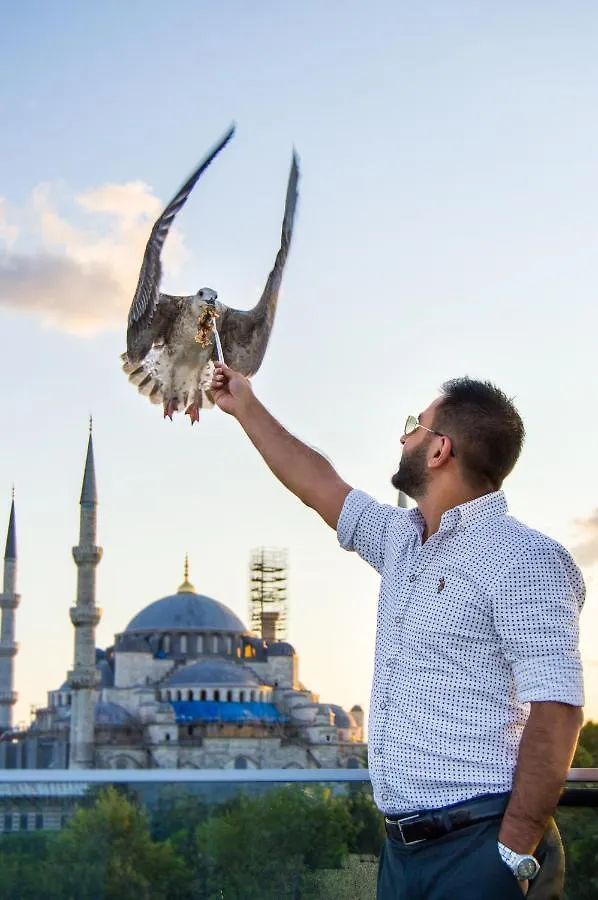 Sarnic Hotel & Sarnic Premier Hotel Istanbul